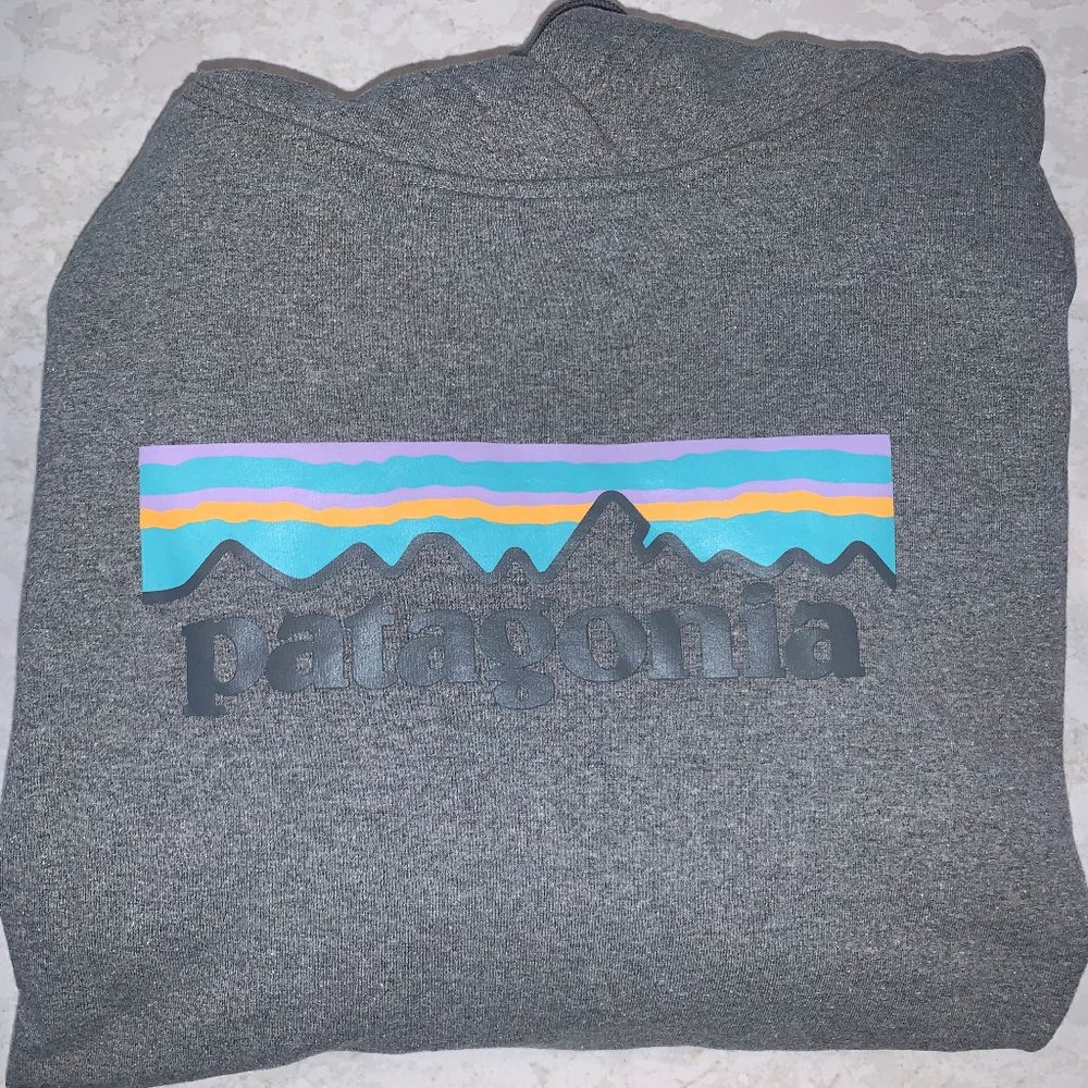 Women's Patagonia Hoodie